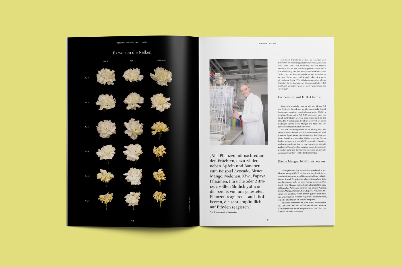 A spread from HHU Magazine on the topic of ethylene in plants, featuring photographs of dried carnations, research on viruses, old children&rsquo;s drawings, an illustration on narcissism, and a lead story on the ancient giant sequoia