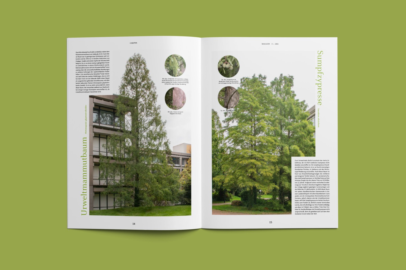 vista &mdash; Designstudio for communication design in d&uuml;sseldorf | News from Science & Research