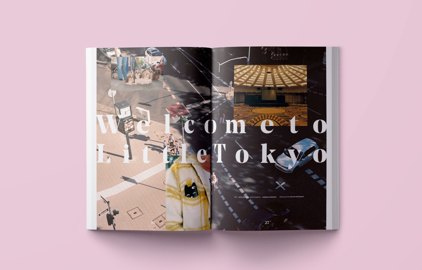 Slider featuring various double-page mockups - A look inside THE DORF THE MAG issues 4 and 5 on a pink background